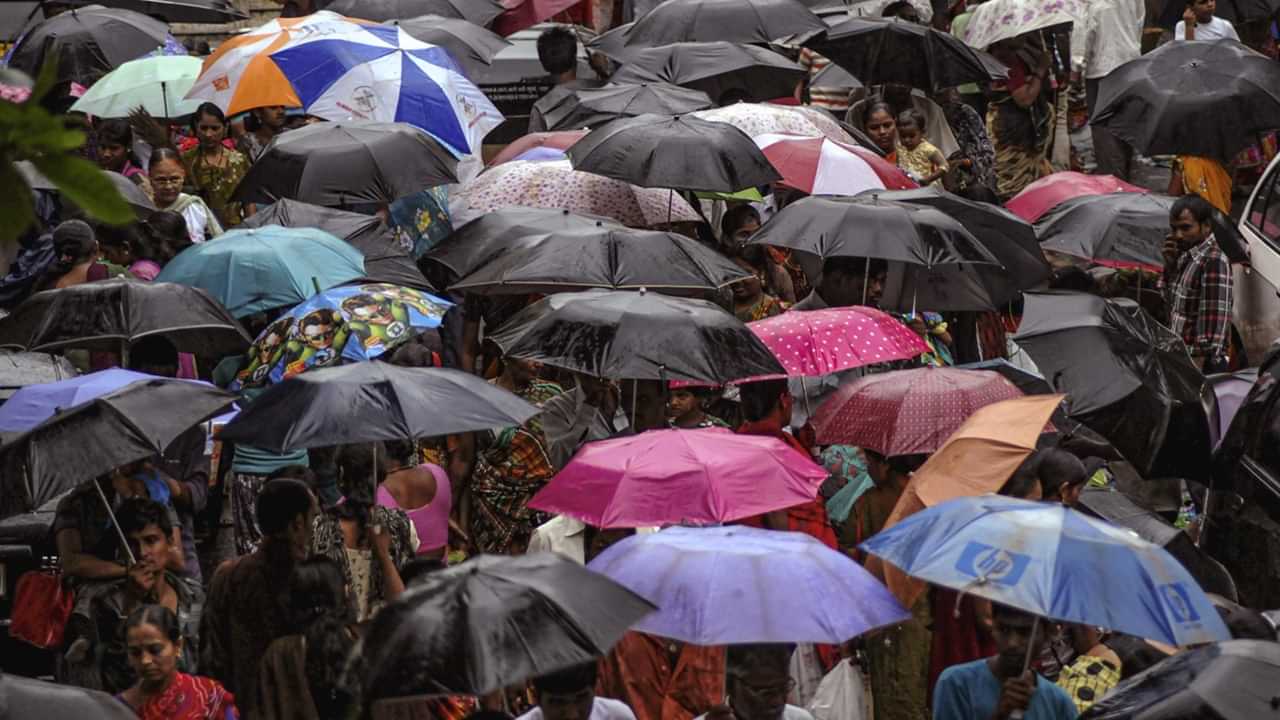 Kerala Rain Holiday: ഈ പ്രദേശത്ത് നാളെ പ്രൊഫഷണല്‍ കോളേജുകള്‍ക്കടക്കം അവധി, കളക്ടറുടെ പ്രഖ്യാപനം