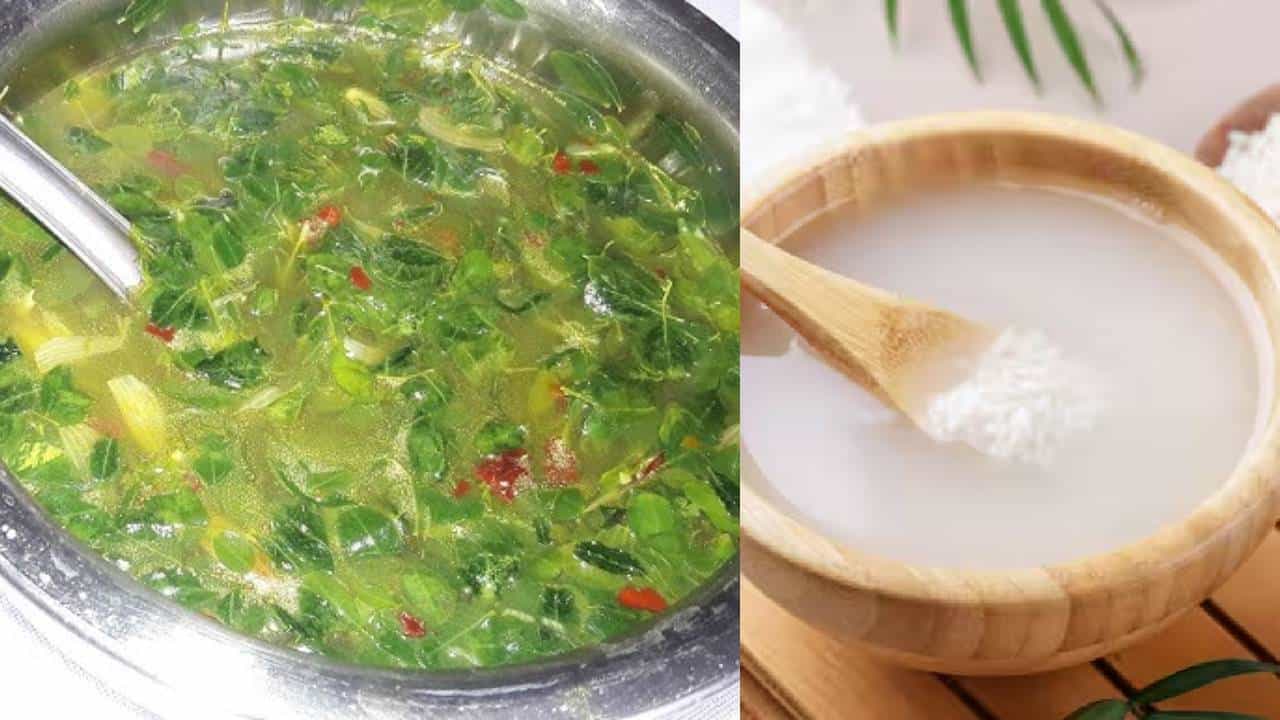 Rice Water Recipe: കഞ്ഞി വെള്ളം കളയാറാണോ പതിവ് , ഇനി വേണ്ട! കറിയായും സൂപ്പായും വിളമ്പാം; ഈസി റെസിപ്പി ഇതാ.. Rice Water Recipe: കഞ്ഞി വെള്ളം കളയാറാണോ പതിവ് , ഇനി വേണ്ട! കറിയായും സൂപ്പായും വിളമ്പാം; ഈസി റെസിപ്പി ഇതാ..