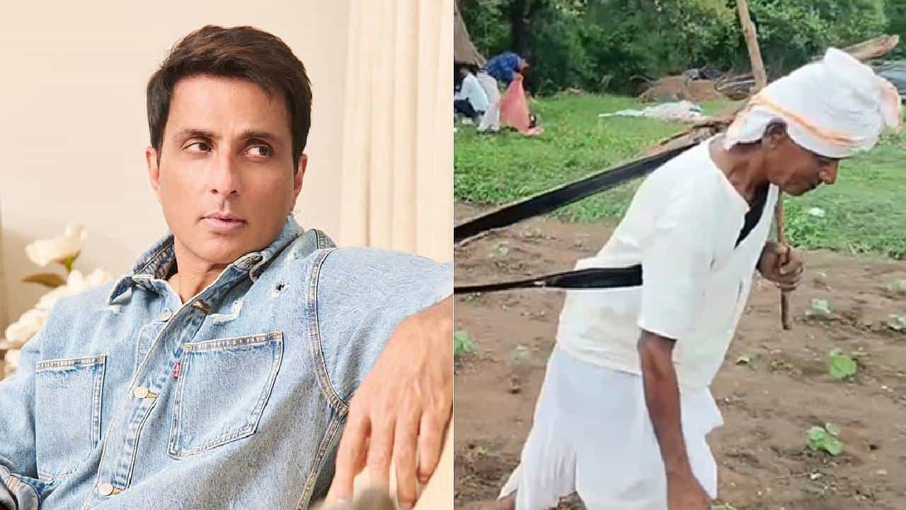 Actor Sonu Sood: നിങ്ങൾ നമ്പർ തരൂ, ഞാൻ കന്നുകാലികളെ നൽകാം; കർഷകന് സഹായഹസ്‌തവുമായി നടൻ സോനു സൂദ്