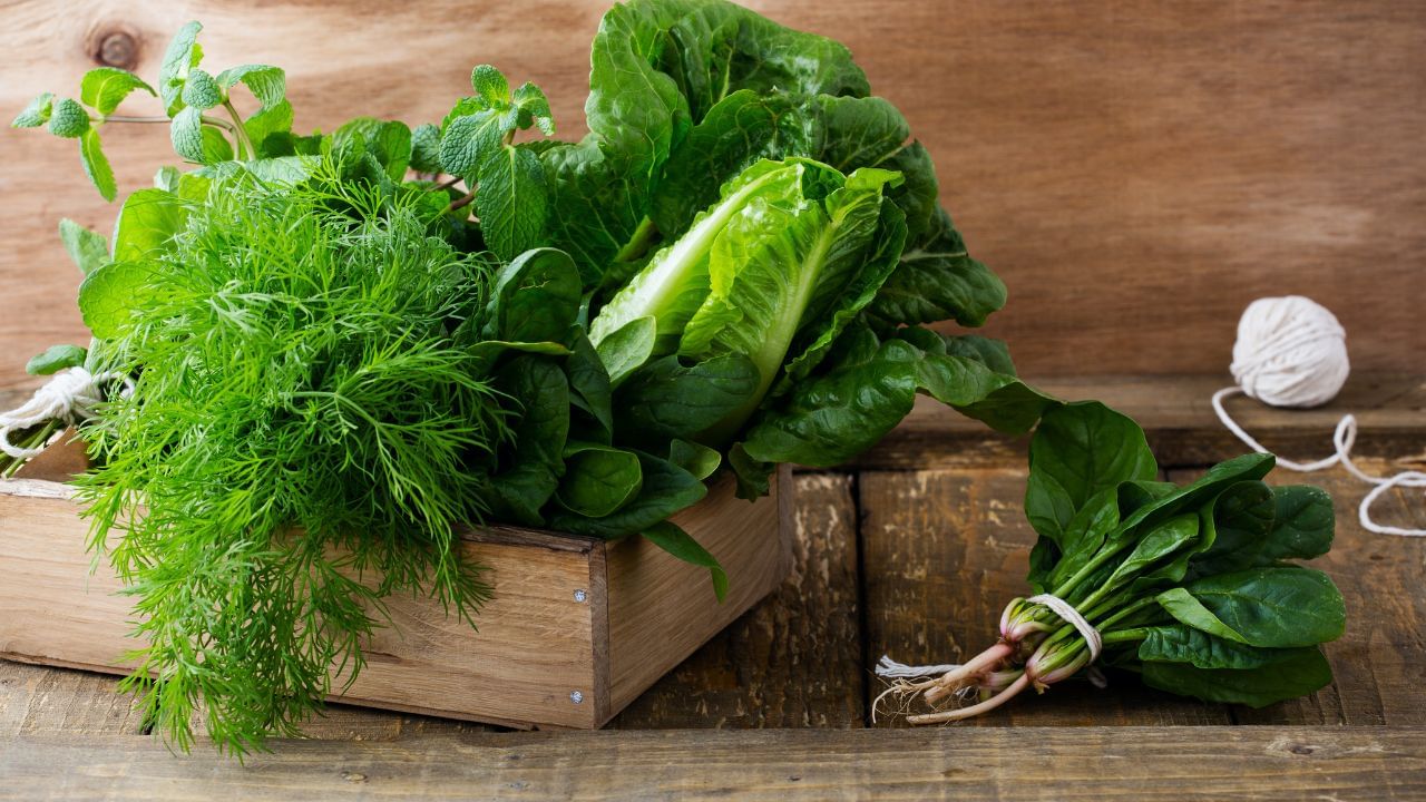 ചീരയിലുള്ള തൈലാക്കോയ്ഡുകള്‍ വിശപ്പ് കുറയ്ക്കുകയും ഭക്ഷണത്തിന് ശേഷം സംതൃപ്തി തോന്നിപ്പിക്കുന്ന ഹോര്‍മോണുകളെ ഉത്തേജിപ്പിക്കുകയും ചെയ്യുന്നുണ്ടെന്ന് പഠനങ്ങള്‍ പറയുന്നു. മാത്രമല്ല വിശപ്പ് തോന്നിപ്പിക്കുന്ന എന്‍സൈമുകളുടെ പ്രവര്‍ത്തനം കുറയ്ക്കുന്നു.