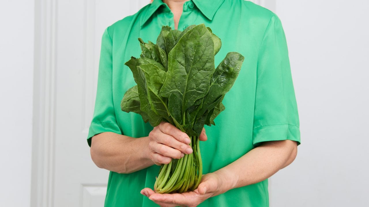 ഒരു കപ്പ് വേവിച്ച ചിരയില്‍ നാല് ഗ്രാം ഫൈബര്‍ ഉണ്ടെന്നാണ് പറയപ്പെടുന്നത്. ഇത് ദഹനം മെച്ചപ്പെടുത്തുകയും സാവധാനത്തിലാക്കുകയും ചെയ്യും. ഇതുവഴി വിശപ്പും കുറയും. കൊളസ്‌ട്രോള്‍, ഗ്ലൂക്കോസ് എന്നിവയെ നിയന്ത്രിക്കാനും ചീര നല്ലതാണ്.