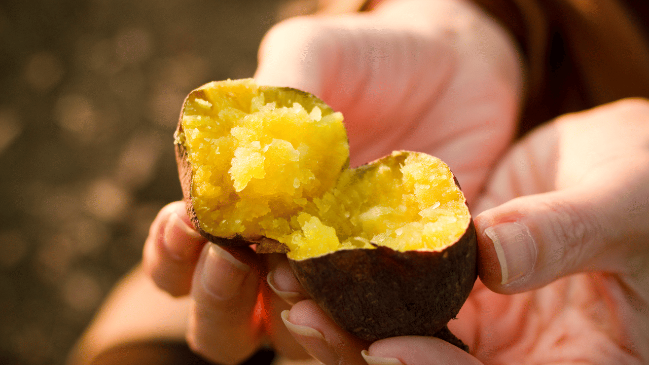 Sweet Potatoes: വെയിലേറ്റ് വാടിയ മുഖം ഇനി മിനുങ്ങും; മധുരക്കിഴങ്ങ് ഫേസ് മാസ്ക് ഉപയോ​ഗിക്കൂ