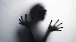 Viral News: അനുഗ്രഹം ചൊരിയുന്ന മരം! താങ്ങും തണലുമാകുന്ന കര്‍ണാടകയിലെ പുളിമരത്തിന്റെ കഥ