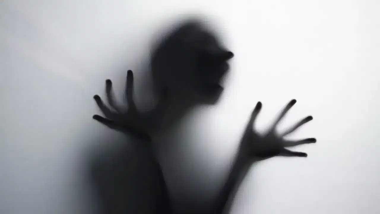 Tamil Nadu Girl Assault Case: 10 വയസുകാരി പട്ടാപ്പകൽ തട്ടിക്കൊണ്ടുപോയി പീഡിപ്പിച്ചു; സംഭവം തമിഴ്നാട്ടിൽ, പിന്തുടരുന്ന വീഡിയോ പുറത്ത്