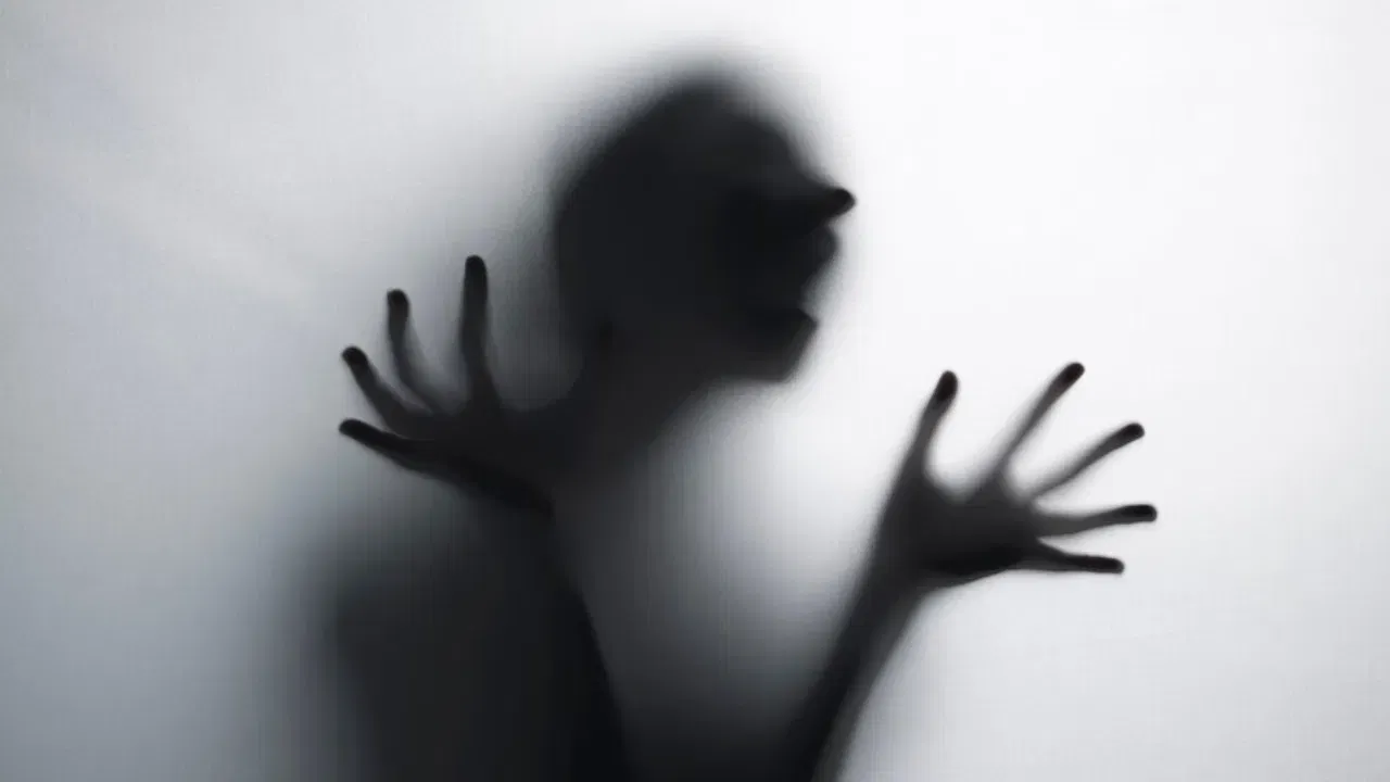 Tamil Nadu Girl Assault Case: 10 വയസുകാരി പട്ടാപ്പകൽ തട്ടിക്കൊണ്ടുപോയി പീഡിപ്പിച്ചു; സംഭവം തമിഴ്നാട്ടിൽ, പിന്തുടരുന്ന വീഡിയോ പുറത്ത്