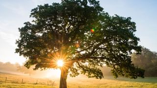 Bomb Threat: ഡല്‍ഹിയിലും ബെംഗളൂരുവിലും സ്‌കൂളുകള്‍ക്ക് ബോംബ് ഭീഷണി; അന്വേഷണം ആരംഭിച്ചു