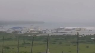 Viral News: തീര്‍ക്കാന്‍ വന്ന മുതലയെ ‘കണ്ടം വഴി ഓടിച്ച്’ സീബ്ര, വീഡിയോ വൈറല്‍