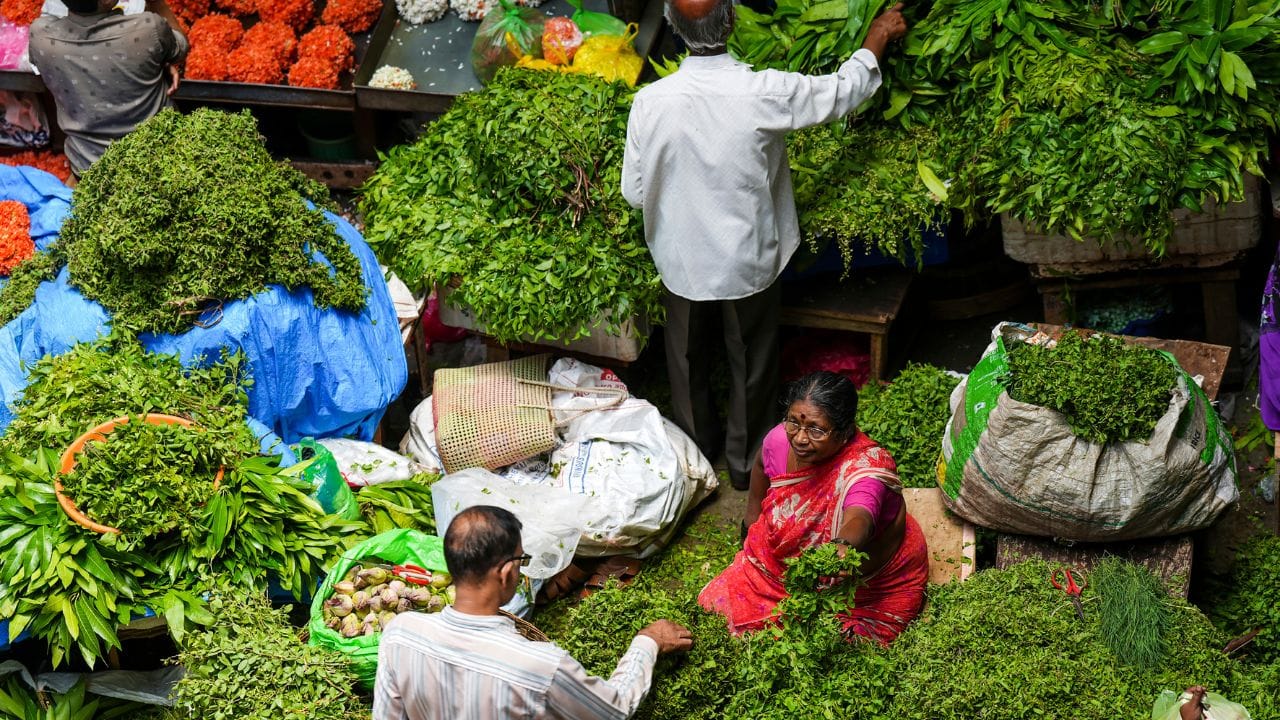കൂടാതെ ഉപ്പും മഞ്ഞള്പ്പൊടിയും കലര്ത്തിയ വെള്ളം ഉപയോഗിക്കാവുന്നതാണ്. മല്ലിയിലയുടെ വേരിന്റെ ഭാഗം പൂര്ണമായും നീക്കം ചെയ്യുക. ശേഷം ടിഷ്യൂ പേപ്പിറിലോ അല്ലെങ്കില് കോട്ടണ് തുണിയിലോ പൊതിയാം. എന്നിട്ട് പ്ലാസ്റ്റിക് പാത്രത്തില് അടച്ച് ഫ്രിഡ്ജില് സൂക്ഷിക്കാം.