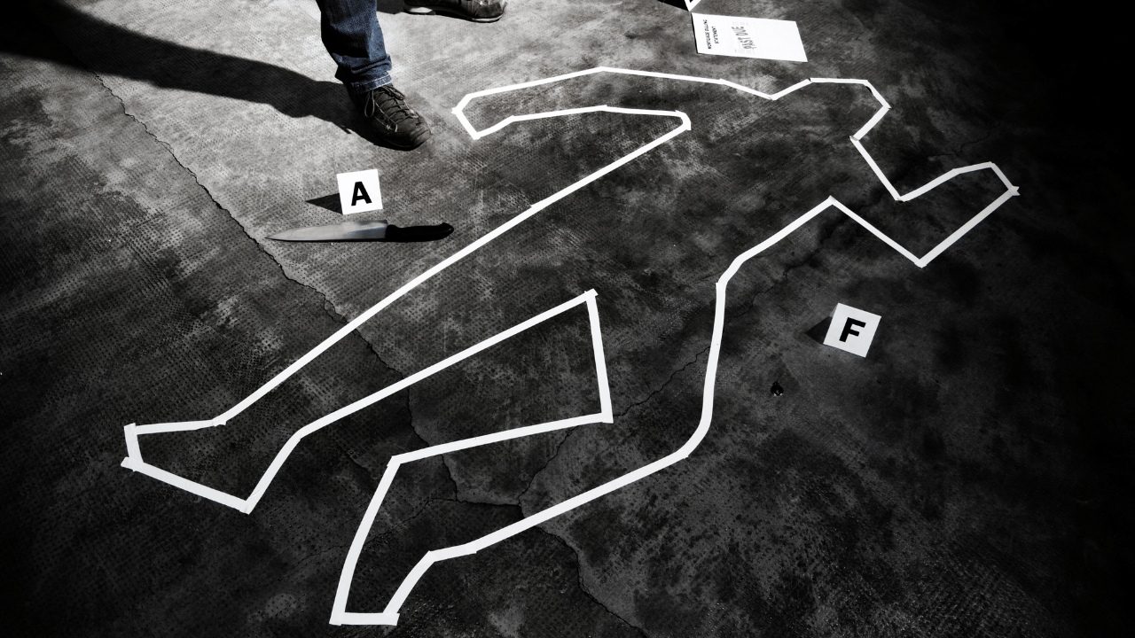 Wife Murder Husband: 1.15ലക്ഷം ശമ്പളം, ചെലവിടുന്നത് വീട്ടുജോലിക്കാരിക്കായി; ഭർത്താവിനെ കൊന്ന് 31കാരി