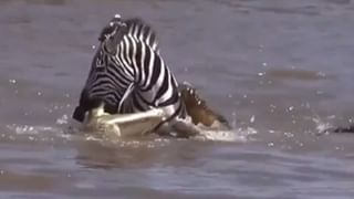 Universe: പ്രപഞ്ചം അവസാനത്തിലേക്കോ? വെളിപ്പെടുത്തലുമായി ശാസ്ത്രലോകം