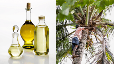 Coconut Oil Price Hike: 500നടുത്ത് വെളിച്ചെണ്ണ, 150 രൂപയ്ക്ക് പാംഓയിലും സൂര്യകാന്തി എണ്ണയും; പകരക്കാരുടെ വില ഇങ്ങനെ...
