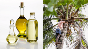 Coconut Oil Price Hike: 500നടുത്ത് വെളിച്ചെണ്ണ, 150 രൂപയ്ക്ക് പാംഓയിലും സൂര്യകാന്തി എണ്ണയും; പകരക്കാരുടെ വില ഇങ്ങനെ…