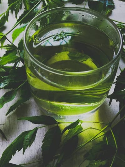 ഗ്രീൻ ടീ കുടിച്ചിട്ടും ​ഗുണമില്ലേ ? കാരണം ഇതാകാം