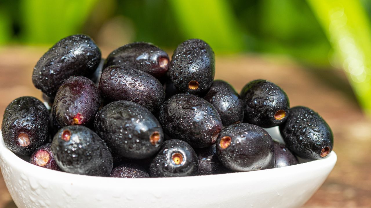 ഞാവല്‍പ്പഴമെന്ന് കരുതി വിഷക്കായ കഴിച്ചു; വിദ്യാര്‍ഥിയെ ആശുപത്രിയില്‍ പ്രവേശിപ്പിച്ചു