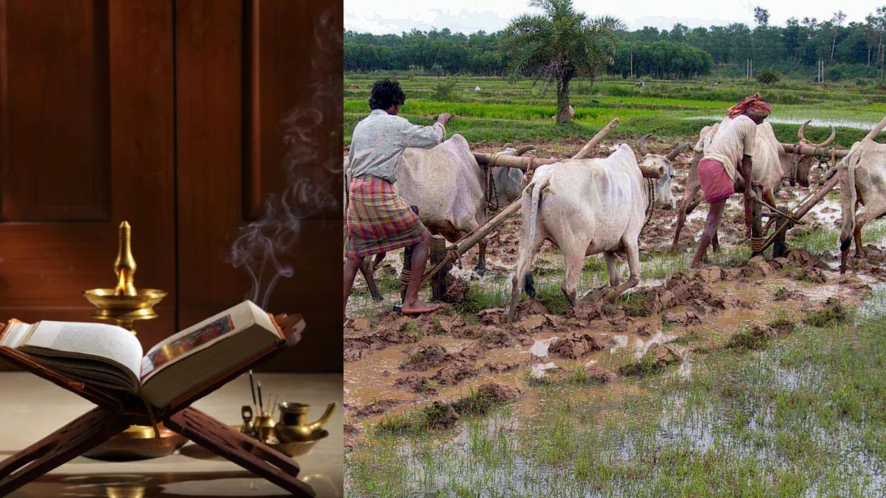 Karkidakam Illam Nira: കറുത്ത വാവ് കഴിഞ്ഞു…ആദ്യ ഞായറെത്തി… ഇന്ന് ഇല്ലം നിറ, വല്ലം നിറ, പത്തായം നിറ നിറ നിറ…