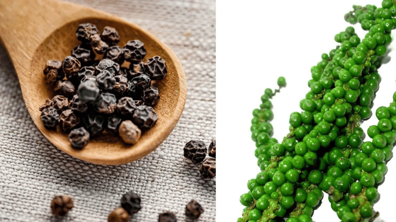 Cardamom Pepper Prices: കരയേണ്ടി വരില്ല, കുരുമുളകും ഏലവും തുണയ്ക്കും... പ്രതീക്ഷ കൈവിടാതെ ഹൈറേഞ്ചുകാർ