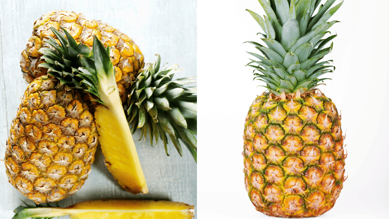 രോ​ഗങ്ങളെ തുരത്താനും പൈനാപ്പിൾ സഹായിക്കും. പൈനാപ്പിൾ ജ്യൂസ് കുടിക്കുന്ന കുട്ടികൾക്ക് മൈക്രോബിയൽ ഇൻഫെക്‌ഷനുകൾ വരാനുള്ള സാധ്യത കുറവാണെന്ന് പറയപ്പെടുന്നു. അലർജി രോഗങ്ങൾ തടയാനും ഇവ സഹായിക്കും. (Image Credits: Getty Images)