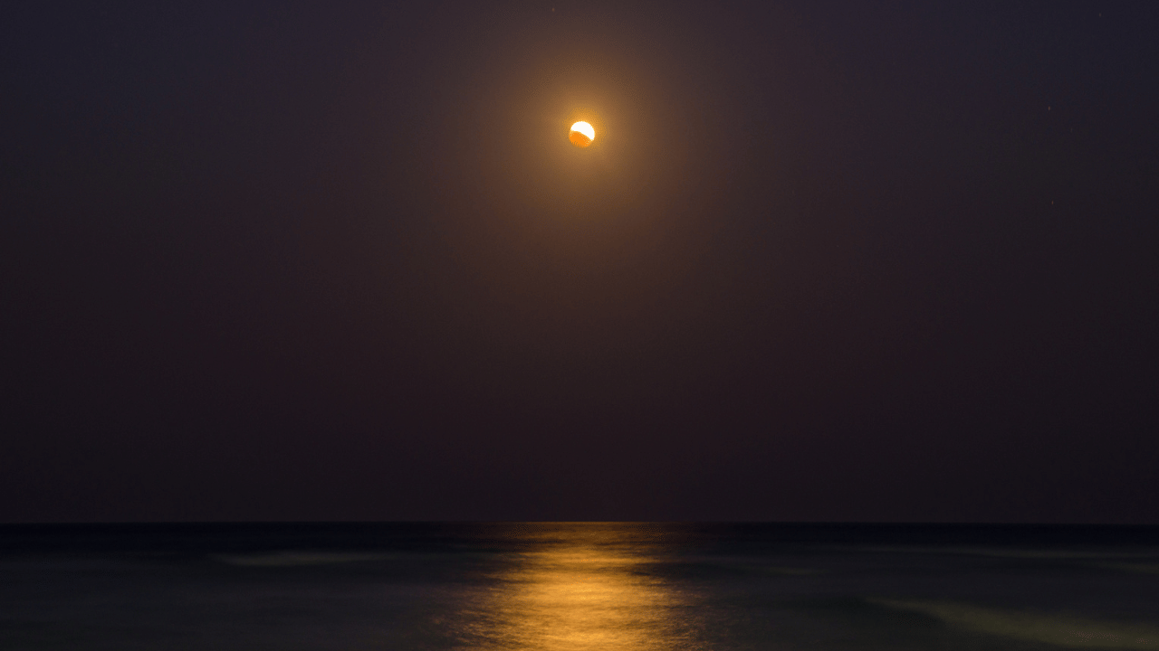 Saptarshi : ശിവൻ്റെ ശിഷ്യൻമാരായിരുന്ന സപ്തർഷികൾ,  മരണമില്ലാത്തവരോ?