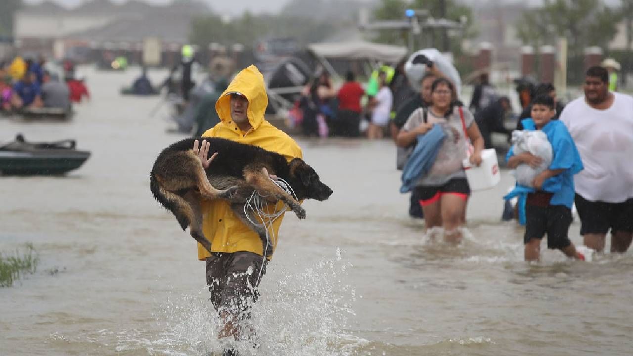 Texas Flash Flood: അമേരിക്കയിലെ ടെക്സസില് മിന്നല് പ്രളയം; 13 പേർ മരിച്ചു, കുട്ടികളടക്കം നിരവധി പേരെ കാണാതായി Texas Flash Flood: അമേരിക്കയിലെ ടെക്സസില് മിന്നല് പ്രളയം; 13 പേർ മരിച്ചു, കുട്ടികളടക്കം നിരവധി പേരെ കാണാതായി