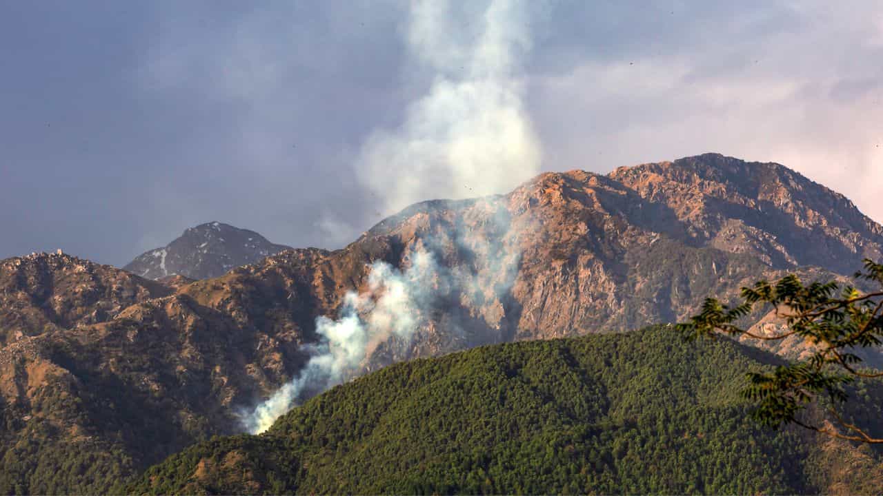 Wayanad: കൊച്ചിയും ബം​ഗളുരുവും ഒക്കെ പണ്ട്... കേരളത്തിൻ്റെ അടുത്ത സ്റ്റാർട്ടപ്പ് ഹബ്ബാകാൻ ഒരുങ്ങി വയനാട്