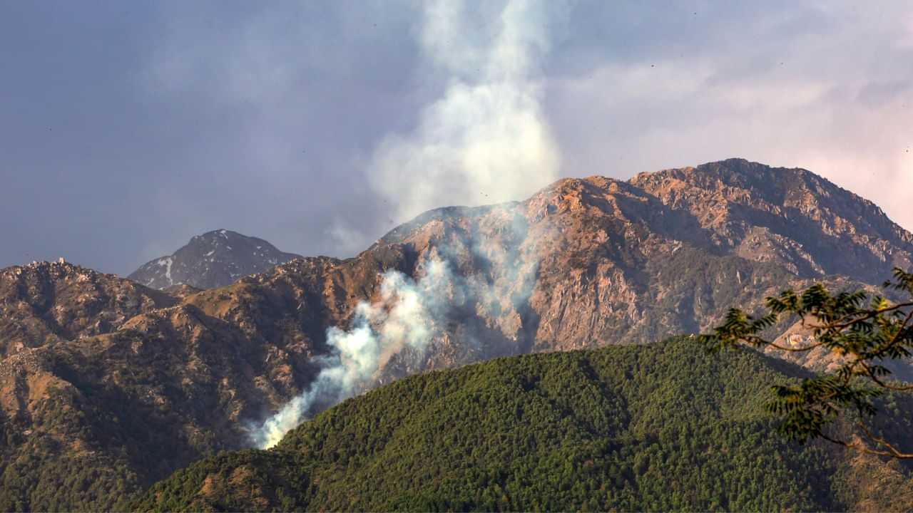 Wayanad: കൊച്ചിയും ബം​ഗളുരുവും ഒക്കെ പണ്ട്... കേരളത്തിൻ്റെ അടുത്ത സ്റ്റാർട്ടപ്പ് ഹബ്ബാകാൻ ഒരുങ്ങി വയനാട്