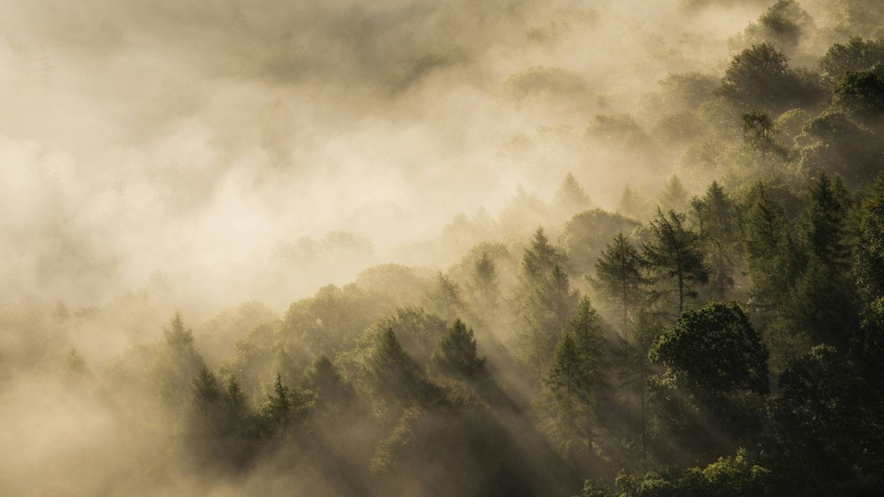 പഴമക്കാര് പറഞ്ഞു കേട്ടിട്ടുണ്ടാകും കറുത്ത മഞ്ഞും വെളുത്ത മഞ്ഞുമുണ്ടെന്ന്. അത്തരത്തില് ഒന്ന് യഥാര്ത്ഥത്തില് ഉണ്ടോ എന്നു നോക്കാം.