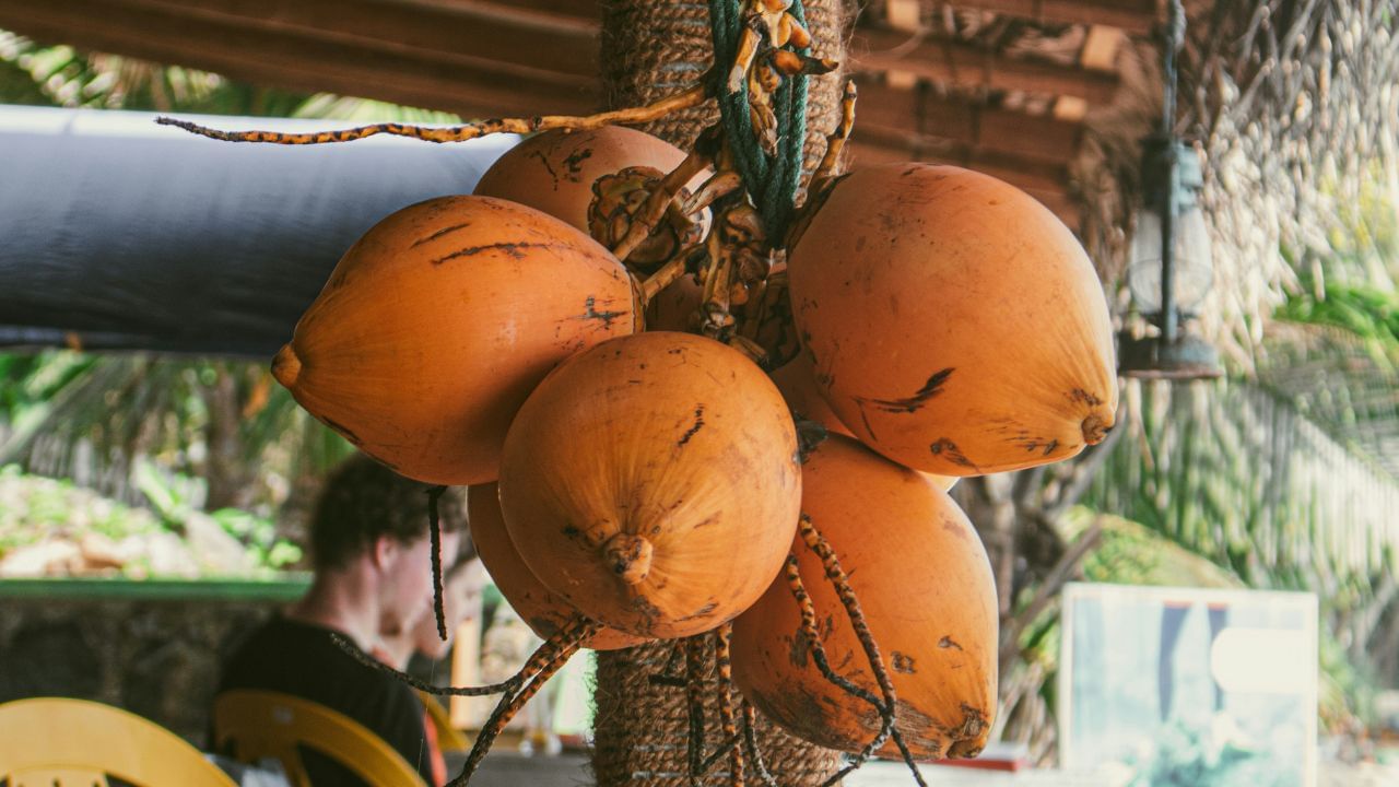 കരിക്ക് പൊട്ടാസ്യം, കാല്‍സ്യം, മാംഗനീസ്, ആന്റിഓക്‌സിഡന്റുകള്‍, അമിനോ ആസിഡുകള്‍ തുടങ്ങിയ പോഷകങ്ങളുടെയും ഇലക്ട്രോലൈറ്റുകളുടെയും കലവറയാണ്. ഇത് ശരീരത്തിന് ഊര്‍ജ്ജം നല്‍കാനും നിര്‍ജ്ജലീകരണം തടയാനും സഹായിക്കും.