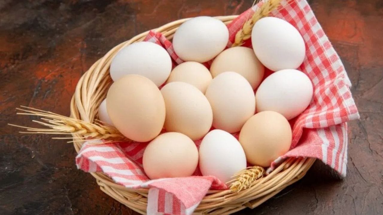 മുട്ട - മുട്ടയിൽ പ്രോട്ടീൻ, ബയോട്ടിൻ, സിങ്ക്, എന്നിവ ധാരാളമായി അടങ്ങിയിട്ടുണ്ട് ഇതെല്ലാം മുടിയുടെ ആരോഗ്യത്തിന് വളരെ പ്രധാനപ്പെട്ടതാണ്.