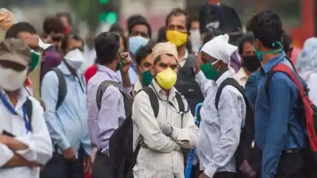 ഡെങ്കിപ്പനി, ചിക്കുന്‍ഗുനിയ- ഈ രണ്ട് രോഗങ്ങളും ഈഡിസ് ഈജിപ്തി കൊതുകുകളാണ് പരത്തുന്നത്. ഡെങ്കിപ്പനി മരണകാരണമാകുന്ന ഹെമറാജിക് ഫീവറിന് വരെ കാരണമാകാമെങ്കില്‍, ചിക്കുന്‍ഗുനിയ കടുത്ത സന്ധി വേദനയ്ക്കും സന്ധിവേദന പോലുള്ള ലക്ഷണങ്ങള്‍ക്കും കാരണമാകും. ഈ രോഗങ്ങള്‍ ബാധിച്ചാല്‍ രോഗലക്ഷണങ്ങള്‍ക്കനുസരിച്ചുള്ള ചികിത്സ മാത്രമാണ് നിലവിലുള്ളത്.