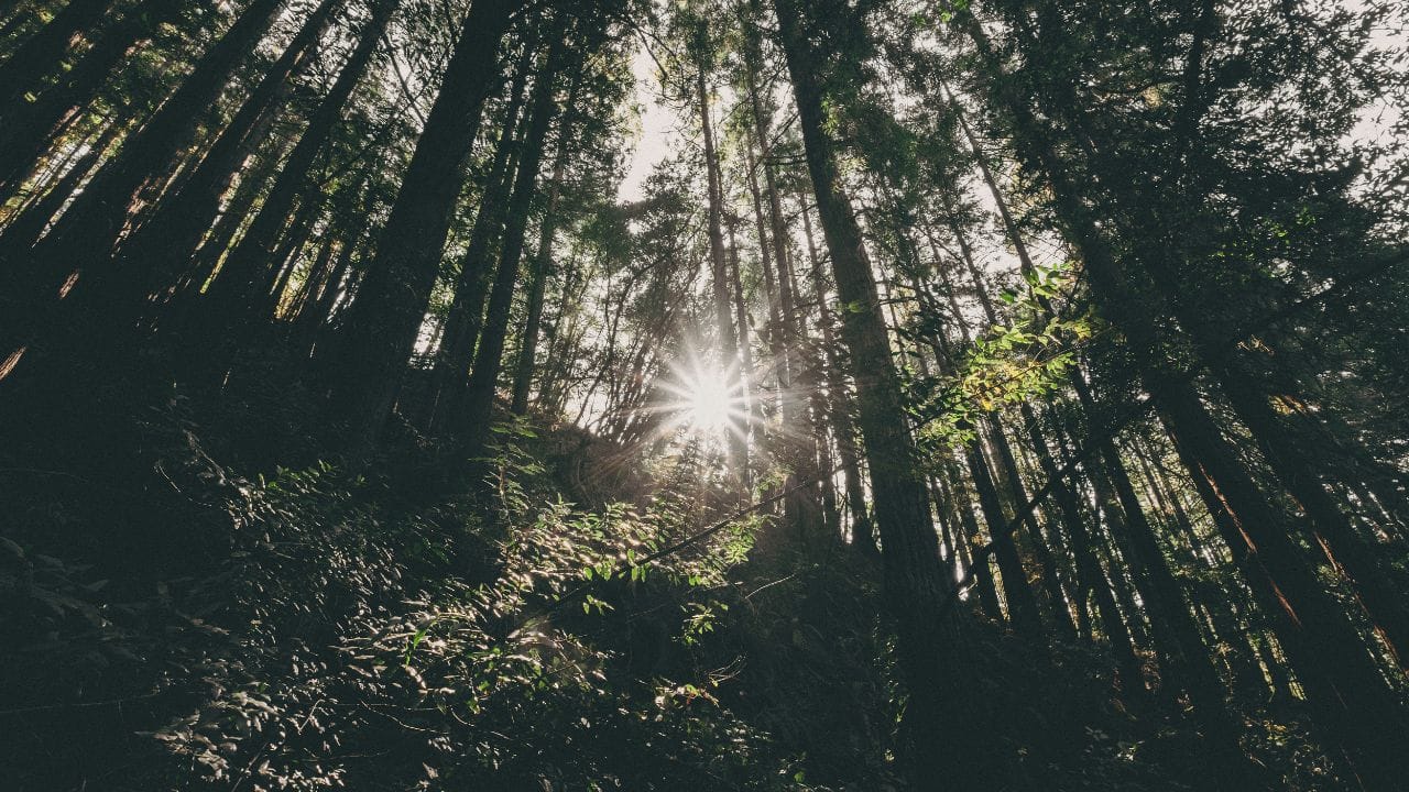 സൂര്യപ്രകാശം നേരിട്ട് ഉപയോഗിച്ച് ഹൈഡ്രജൻ, മെഥനോൾ, സിന്തറ്റിക് പെട്രോൾ തുടങ്ങിയ സൗരോർജ്ജ ഇന്ധനങ്ങൾ നിർമ്മിക്കുകയാണ് ഈ ഗവേഷണത്തിന്റെ ലക്ഷ്യം. ഈ ഇന്ധനങ്ങൾ ഉപയോഗിക്കുമ്പോൾ അവയുടെ നിർമ്മാണത്തിന് ആവശ്യമായ കാർബൺ ഡൈ ഓക്സൈഡ് മാത്രമേ പുറത്തുവിടുകയുള്ളൂ. അതിനാൽ ഈ പ്രക്രിയ പൂർണ്ണമായും കാർബൺ-ന്യൂട്രൽ ആണ്.