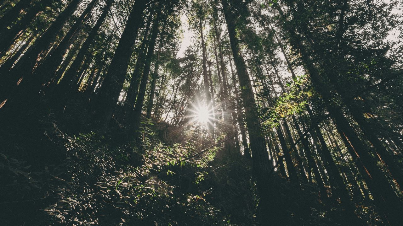 സൂര്യപ്രകാശം നേരിട്ട് ഉപയോഗിച്ച് ഹൈഡ്രജൻ, മെഥനോൾ, സിന്തറ്റിക് പെട്രോൾ തുടങ്ങിയ സൗരോർജ്ജ ഇന്ധനങ്ങൾ നിർമ്മിക്കുകയാണ് ഈ ഗവേഷണത്തിന്റെ ലക്ഷ്യം. ഈ ഇന്ധനങ്ങൾ ഉപയോഗിക്കുമ്പോൾ അവയുടെ നിർമ്മാണത്തിന് ആവശ്യമായ കാർബൺ ഡൈ ഓക്‌സൈഡ് മാത്രമേ പുറത്തുവിടുകയുള്ളൂ. അതിനാൽ ഈ പ്രക്രിയ പൂർണ്ണമായും  കാർബൺ-ന്യൂട്രൽ ആണ്.