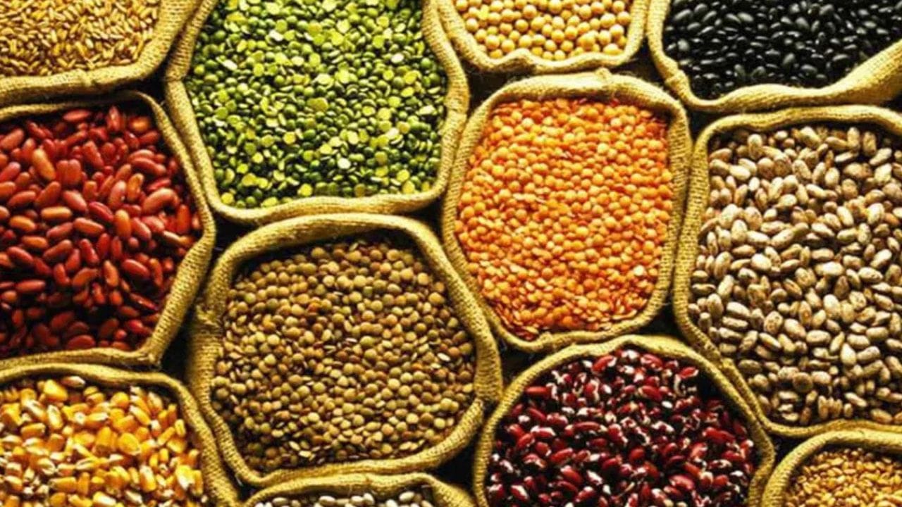 പയറുവർഗങ്ങൾ -  കടല, പരിപ്പ്, പയർ, എന്നിവ ഇരുമ്പിനെയും പ്രോട്ടീന്റെയും മികച്ച ഉറവിടങ്ങളാണ്.