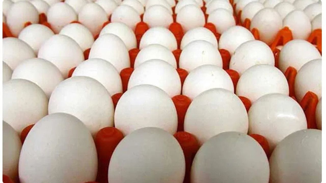 ഒരു പാത്രം വെള്ളത്തില്‍ മുട്ടയിടുക. മുട്ട താഴ്ന്ന് കിടക്കുകയാണെങ്കില്‍ അത് പുതിയതാണ്, മറിച്ച് പൊങ്ങിക്കിടക്കുകയാണെങ്കില്‍ അത് കേടായതാണ്.