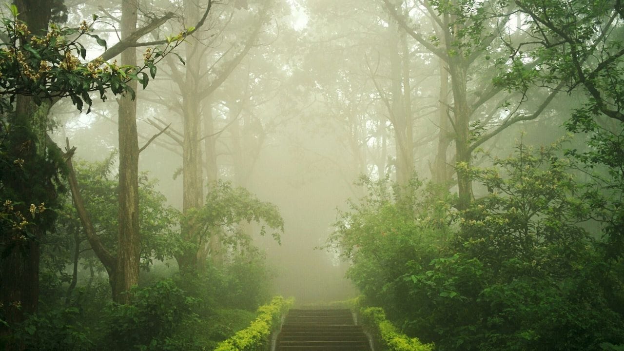 വായു കുമിളകള്‍ ഇതില്‍ ധാരാളമായി ഉണ്ട്. മഞ്ഞുവീഴ്ചയ്ക്ക് ശേഷം മഞ്ഞ് ഉരുകി വീണ്ടും തണുത്തുറയുമ്പോഴോ അല്ലെങ്കില്‍ മഴയ്ക്ക് ശേഷമോ ആവാം ഇത് രൂപപ്പെടുന്നത്. 