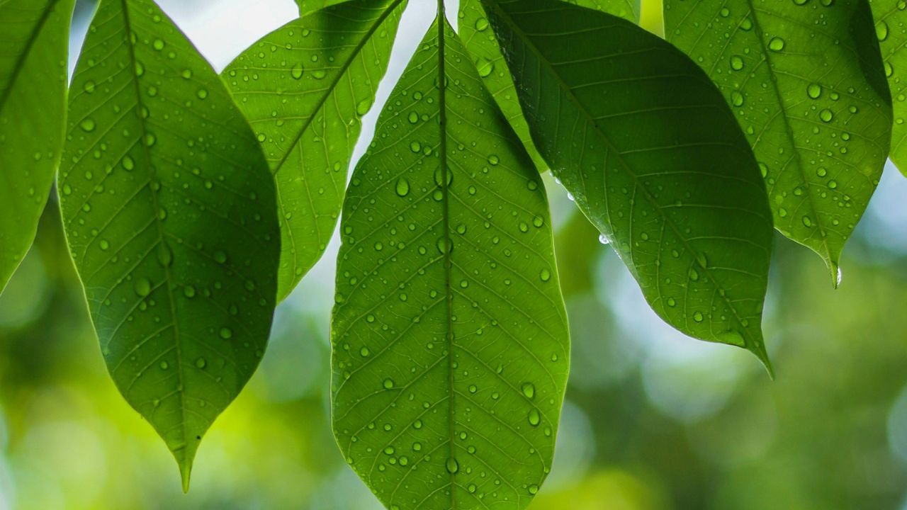 'നേച്ചർ കെമിസ്ട്രി' ജേണലിൽ പ്രസിദ്ധീകരിച്ച പഠനത്തിൽ, പ്രൊഫസർ ഒലിവർ വെംഗറും സംഘവും ഒരു പ്രത്യേക തരം തന്മാത്ര വികസിപ്പിച്ചു.