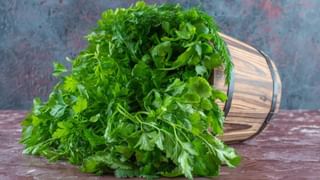 Gizele Thakral- Yuvraj Singh: ജിസേൽ തക്രാൽ യുവരാജിൻ്റെ മുൻ കാമുകിയോ?; പഴയ ചിത്രങ്ങൾ സമൂഹമാധ്യമങ്ങളിൽ വൈറൽ