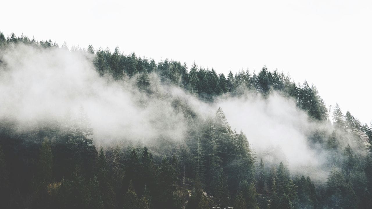 പേര് സൂചിപ്പിക്കുന്നത് പോലെ, കറുത്ത നിറത്തിലുള്ള മഞ്ഞല്ല ഇത്. തണുത്ത പ്രതലത്തില്‍ മഴ പെയ്യുമ്പോള്‍, ആ വെള്ളം ഉടനടി മരവിച്ചുപോകുന്നതിലൂടെയാണ് ഇത് ഉണ്ടാകുന്നത്.