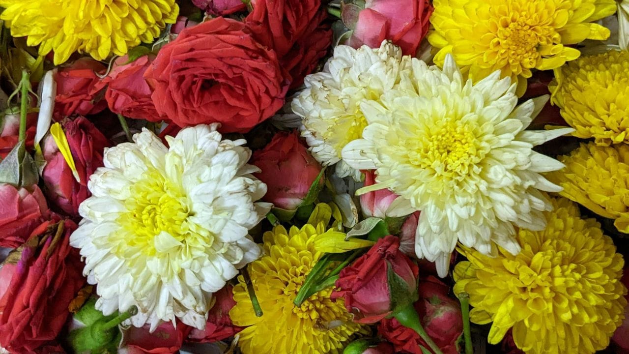 ഇത്തരത്തിൽ മുൻ വർഷങ്ങളിലും ഉണ്ടായിട്ടുണ്ട്. അപ്പോഴെല്ലാം ഒരു ദിവസം പരിഗണിക്കാതെയോ അല്ലെങ്കിൽ ഒരു ദിവസം അധികമായി രണ്ടുവട്ടം പൂക്കൾ ഇട്ടുമോ ആണ് പ്രതിസന്ധി പരിഹരിക്കുക. നാൾപ്രകാരം നോക്കുകയാണെങ്കിൽ നാളെ 5:45 നാഴികയാണ് ചിത്തിരയുള്ളത് . ബാക്കി ചോതി നക്ഷത്രമാണ്. പിറ്റേന്ന് നോക്കിയാലും ചോതി 13 നാഴികയോളമുണ്ട്. 