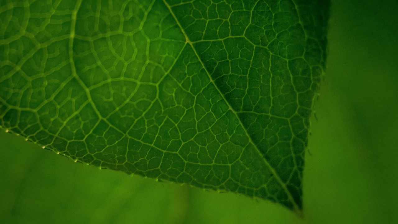 രണ്ട് തവണ പ്രകാശമേൽക്കുമ്പോൾ രണ്ട് പോസിറ്റീവും രണ്ട് നെഗറ്റീവും ഉൾപ്പെടെ നാല് ചാർജുകൾ ഒരേസമയം സംഭരിക്കാൻ ഈ തന്മാത്രയ്ക്ക് കഴിയും. ഇത് വെള്ളത്തെ ഹൈഡ്രജനായും ഓക്സിജനായും വിഭജിക്കുന്നത് പോലുള്ള രാസപ്രവർത്തനങ്ങൾക്ക് ഉപയോഗിക്കാം.