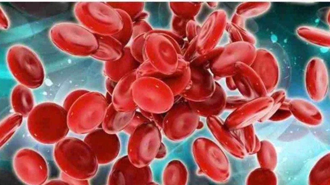 മുടികൊഴിച്ചിലിന് പല കാരണങ്ങൾ ഉണ്ടാകാം. ശരീരത്തിൽ ആവശ്യമായ അയൺ ഇല്ലാത്തതും ഇതിന്റെ ഒരു പ്രധാന കാരണമാണ്. രക്തക്കുറവ് കാരണം ശരീരത്തിലെ കോശങ്ങളിലേക്ക് ആവശ്യത്തിന് എത്താത്തത് മുടികൊഴിച്ചിലിന്റെ ഒരു പ്രധാന കാരണമാണ്. ഇത് കുറയ്ക്കാനായി അയേൺ അടങ്ങിയ ഭക്ഷണങ്ങൾ കഴിക്കുന്നതാണ് പ്രധാന പരിഹാരം. ഇത് ഏതെല്ലാം എന്ന് നോക്കാം