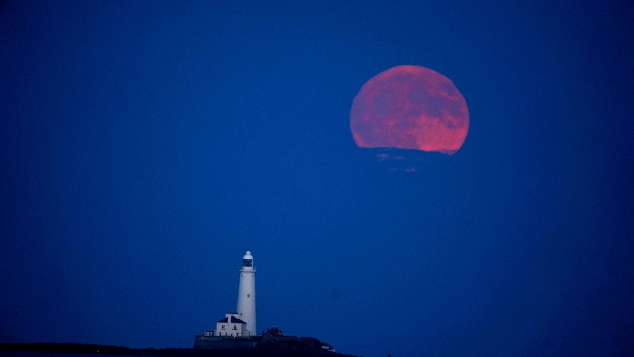 സൂര്യഗ്രഹണം പോലെ, ബ്ലഡ് മൂൺ കാണാൻ പ്രത്യേക കണ്ണടകൾ ആവശ്യമില്ല. ഇത് നഗ്‌നനേത്രങ്ങൾകൊണ്ട് നേരിട്ട് കാണാവുന്നതാണ്. കാഴ്ച കൂടുതൽ വ്യക്തമാക്കാൻ ബൈനോക്കുലറുകളോ ടെലിസ്‌കോപ്പോ ഉപയോഗിക്കാം. ഈ അപൂർവ ആകാശവിസ്മയം എല്ലാവർക്കും സുരക്ഷിതമായി ആസ്വദിക്കാം.