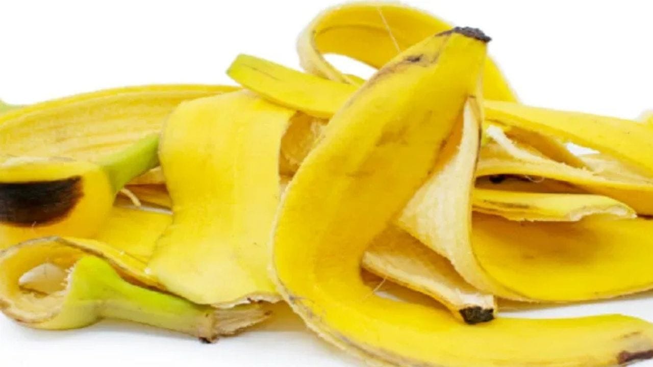 മുറിച്ച വാഴപ്പഴം കറുക്കാതിരിക്കാൻ, അല്പം നാരങ്ങാനീരിലോ ഓറഞ്ച് നീരിലോ മുക്കിയെടുക്കുക. ഇത് ഓക്‌സിഡേഷൻ തടയും.