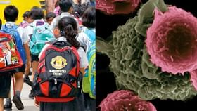 Amebic meningitis guideline: ഓണം അവധിയാണ്… സ്കൂൾ പൂട്ടിയിട്ടുണ്ട്… പക്ഷെ കുളത്തിലും തോട്ടിലും ചാടും മുമ്പ് ഇക്കാര്യങ്ങൾ ശ്രദ്ധിക്കുക Amebic meningitis guideline: ഓണം അവധിയാണ്… സ്കൂൾ പൂട്ടിയിട്ടുണ്ട്… പക്ഷെ കുളത്തിലും തോട്ടിലും ചാടും മുമ്പ് ഇക്കാര്യങ്ങൾ ശ്രദ്ധിക്കുക...