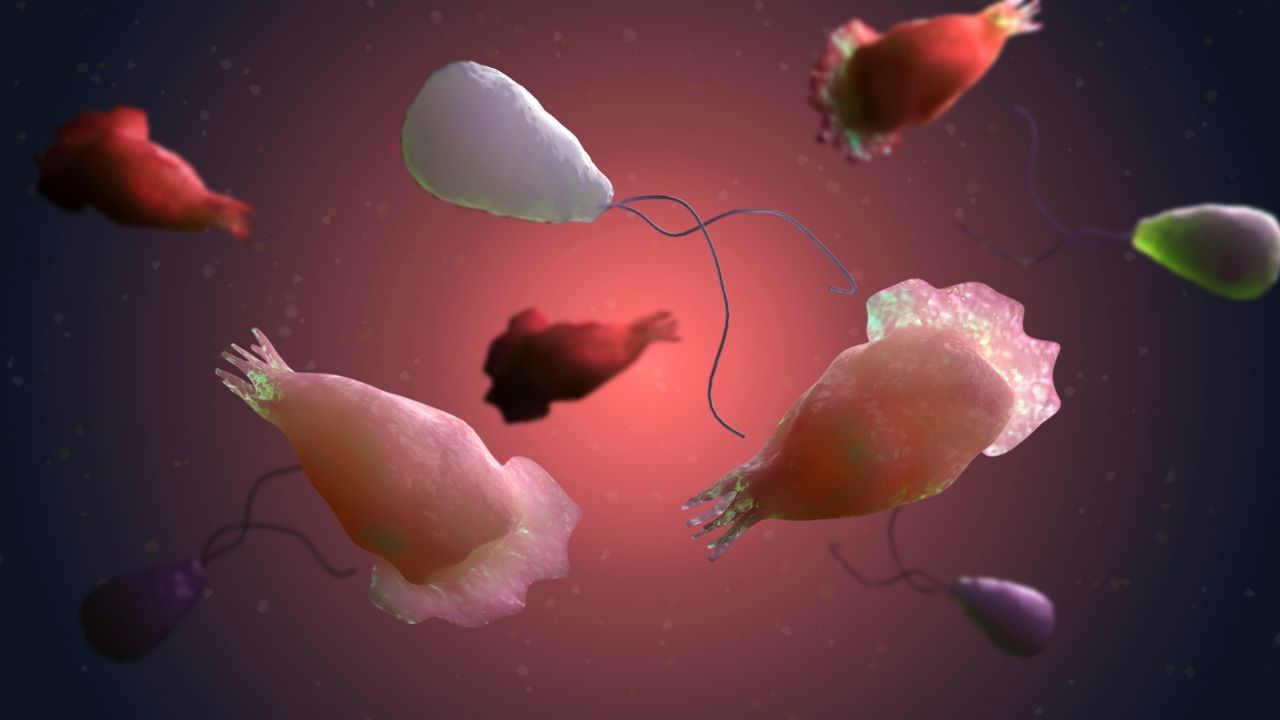 കേരളത്തില്‍ അമീബിക് മസ്തിഷ്‌കജ്വരം ബാധിക്കുന്നവരുടെ എണ്ണം നാള്‍ക്കുനാള്‍ വര്‍ധിക്കുകയാണ്. സംസ്ഥാനത്ത് നിലവില്‍ എട്ടുപേരാണ് ചികിത്സയിലുള്ളത്. നിരവധി കുട്ടികള്‍ക്ക് ജീവന്‍ നഷ്ടപ്പെടുകയും ചെയ്തു. ജലാശയങ്ങളില്‍ നിന്നാണ് രോഗം പടരുന്നത്. അതിനാല്‍ വെള്ളം ക്ലോറിനേറ്റ് ചെയ്ത് ശുദ്ധീകരിക്കേണ്ടത് വളരെ അനിവാര്യമാണ്. (Image Credits: Getty Images)