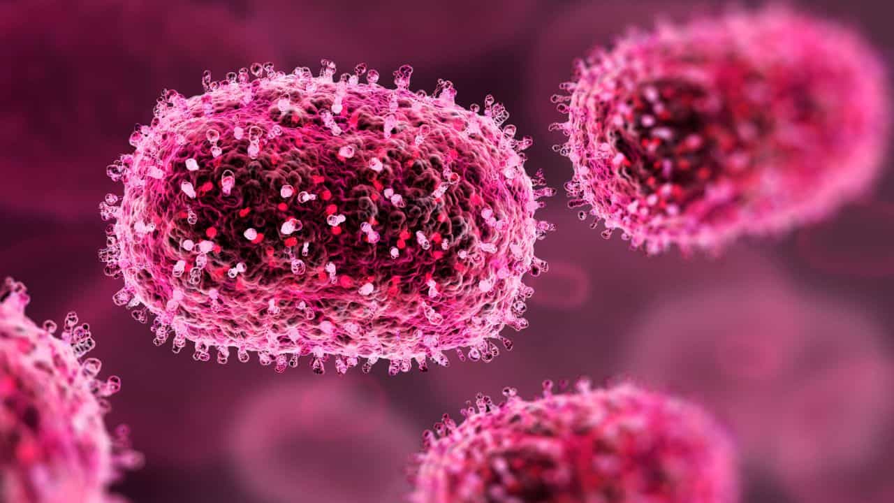 Amoebic Meningitis: വീണ്ടും അമീബിക് മസ്തിഷ്‌കജ്വരം; സംസ്ഥാനത്തെ രോ​ഗികളുടെ എണ്ണം എട്ട്, ജാ​ഗ്രത