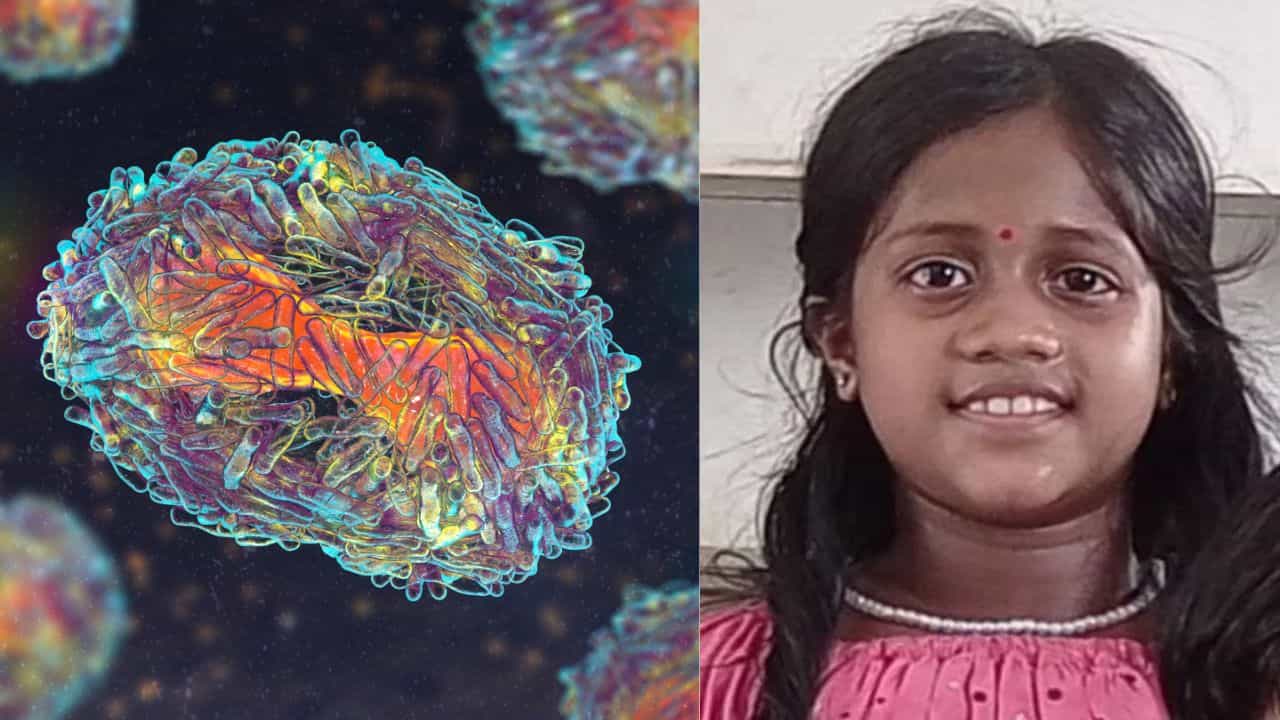 Amoebic Meningoencephalitis: താമരശ്ശേരിയിലെ പെൺകുട്ടിയുടെ സഹോദരനും അമീബിക് മസ്തിഷ്കജ്വരം; ഇതോടെ രോഹബാധിതർ നാല്