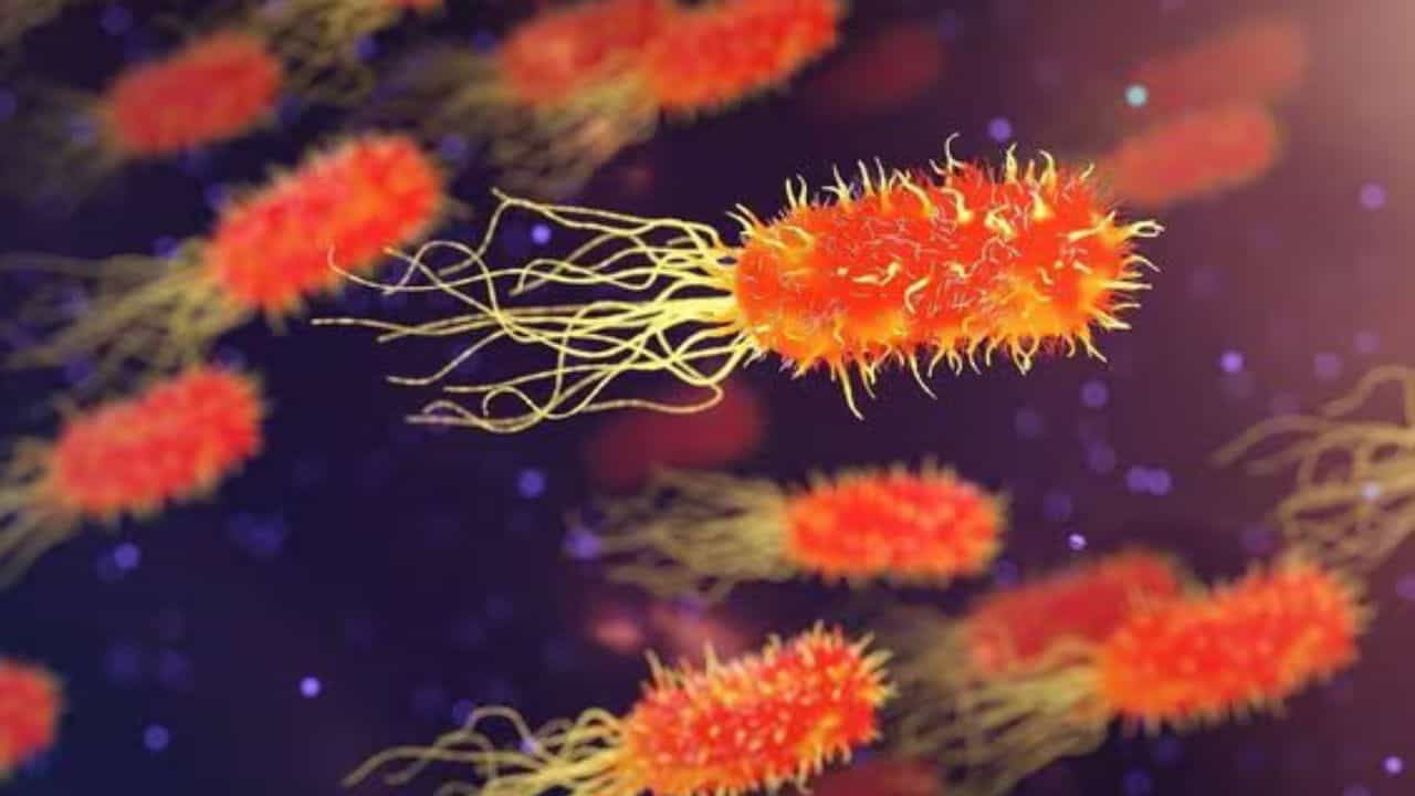 Amoebic Meningoencephalitis Death: വീണ്ടും അമീബിക് മസ്തിഷ്ക ജ്വര മരണം; തിരുവനന്തപുരം സ്വദേശിയായ വയോധിക മരിച്ചു