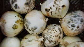 Bigg Boss Malayalam Season 7: സ്റ്റാർ മാജിക്കിലെ താരം, നടി; ഹൗസിൽ ശബ്ദമുയർന്ന് തുടങ്ങിയ അനുമോൾ