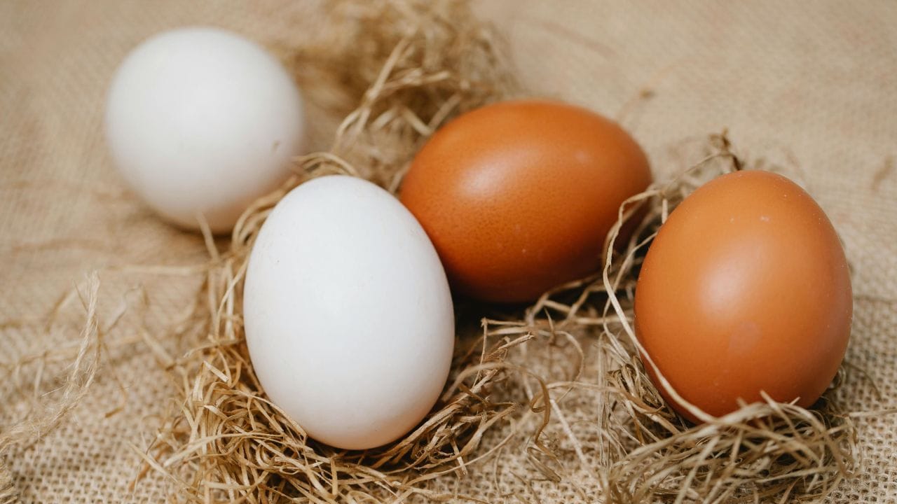 നിരവധി പോഷക ഗുണങ്ങൾ അടങ്ങിയ ഒന്നാണ് മുട്ട. കടകളിലെല്ലാം രണ്ടു നിറത്തിലുള്ള മുട്ടകൾ കാണാനാകും. ഒന്ന് ബ്രൗൺ നിറത്തിലുള്ള നാടൻ മുട്ടയും. മറ്റേത് വെള്ള നിറത്തിലുള്ള ബ്രോയ്‌ലർ മുട്ടയും. ഇതിൽ നാടൻ മുട്ടകളാണ് ആരോഗ്യത്തിന് നല്ലതെന്ന് പൊതുവെ പറയാറുണ്ട്. എന്നാൽ, ഇവ തമ്മിലുള്ള വ്യത്യാസം എന്താണ്? (Image Credits: Pexels)