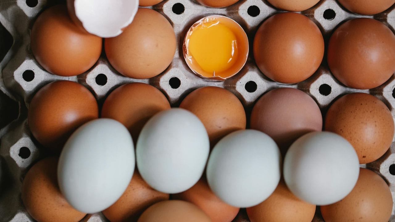 കൂടാതെ, ആരോഗ്യകരമായ തീറ്റ കഴിച്ച് വളർന്ന കോഴികളുടെ മുട്ടയിൽ കൂടുതൽ പോഷകങ്ങൾ അടങ്ങിയിരിക്കും. അതേസമയം, ഹോർമോൺ കുത്തിവെച്ച കോഴിയുടെയും മറ്റും മുട്ടകളിൽ പോഷകങ്ങളും കുറവായിരിക്കും. (Image Credits: Pexels)  
